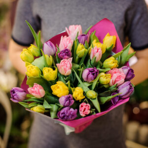 Mix Kolorowych Tulipanów