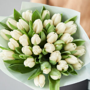Białe Tulipany