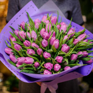 Fioletowe Tulipany